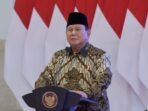 20241210-dipa-2-1024x682
