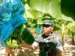 Program Cavendish Pj Bahtiar Berhasil Berhasil