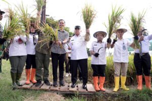 Wagub Sulbar Dorong Revolusi Irigasi Saat Hadiri Pesta Panen di Kalukku